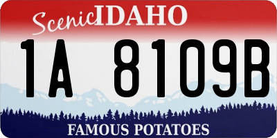 ID license plate 1A8109B