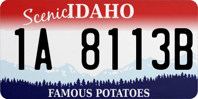 ID license plate 1A8113B