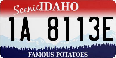 ID license plate 1A8113E