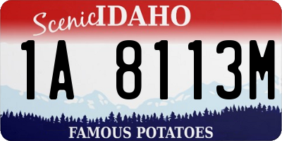 ID license plate 1A8113M