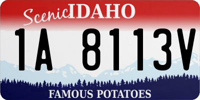 ID license plate 1A8113V