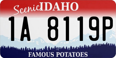 ID license plate 1A8119P