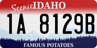 ID license plate 1A8129B