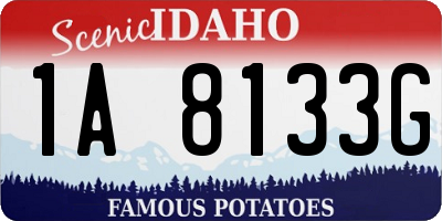 ID license plate 1A8133G