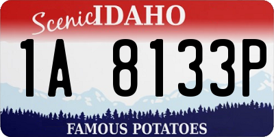 ID license plate 1A8133P