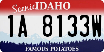 ID license plate 1A8133W