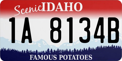 ID license plate 1A8134B