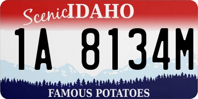 ID license plate 1A8134M