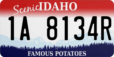 ID license plate 1A8134R