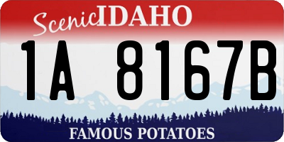 ID license plate 1A8167B