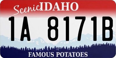 ID license plate 1A8171B