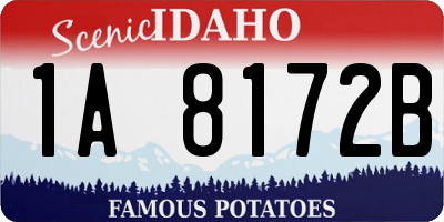 ID license plate 1A8172B
