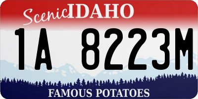 ID license plate 1A8223M
