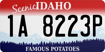 ID license plate 1A8223P