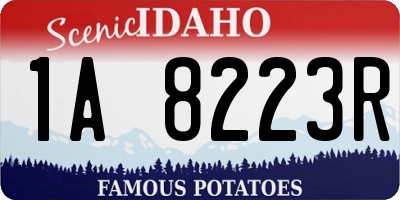 ID license plate 1A8223R