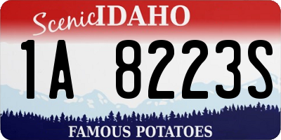 ID license plate 1A8223S