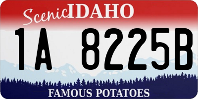 ID license plate 1A8225B