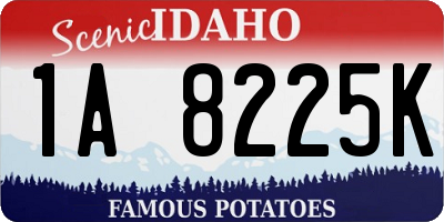 ID license plate 1A8225K