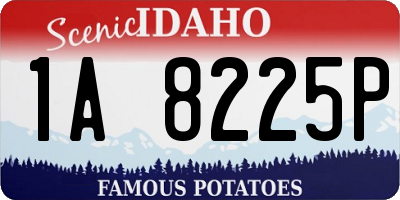 ID license plate 1A8225P