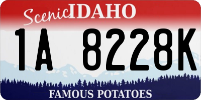 ID license plate 1A8228K