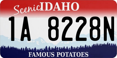 ID license plate 1A8228N