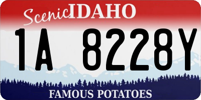 ID license plate 1A8228Y