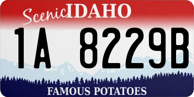 ID license plate 1A8229B