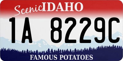 ID license plate 1A8229C