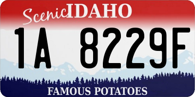 ID license plate 1A8229F