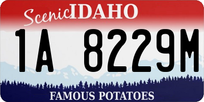 ID license plate 1A8229M