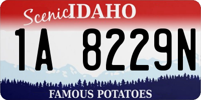 ID license plate 1A8229N