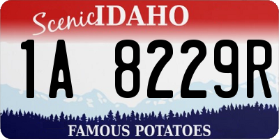 ID license plate 1A8229R