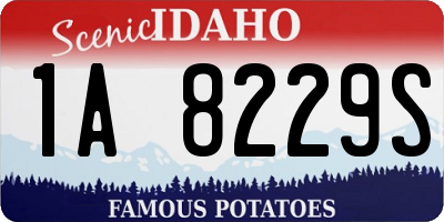 ID license plate 1A8229S