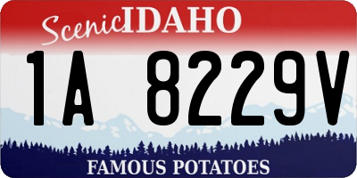 ID license plate 1A8229V