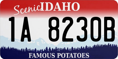 ID license plate 1A8230B