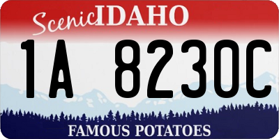 ID license plate 1A8230C