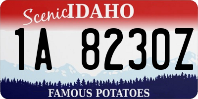 ID license plate 1A8230Z