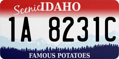 ID license plate 1A8231C