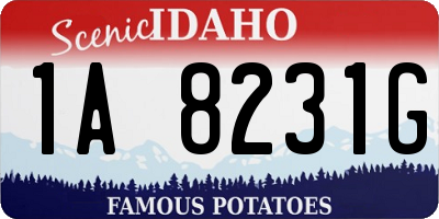 ID license plate 1A8231G