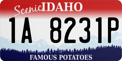 ID license plate 1A8231P