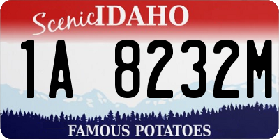 ID license plate 1A8232M