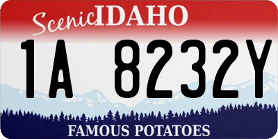 ID license plate 1A8232Y