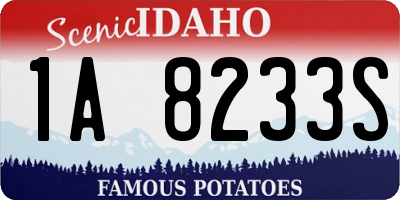 ID license plate 1A8233S