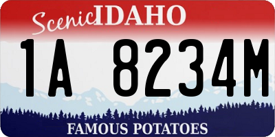 ID license plate 1A8234M