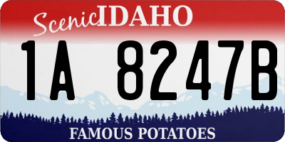 ID license plate 1A8247B