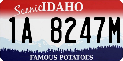 ID license plate 1A8247M