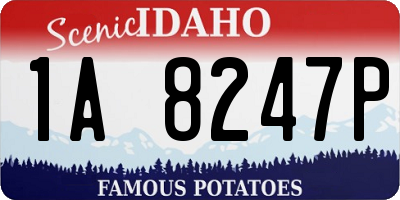 ID license plate 1A8247P