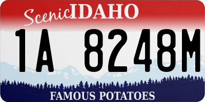 ID license plate 1A8248M