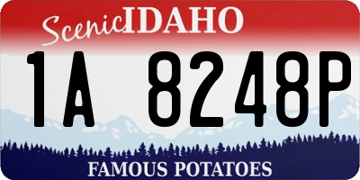 ID license plate 1A8248P