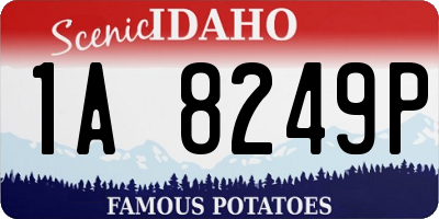 ID license plate 1A8249P